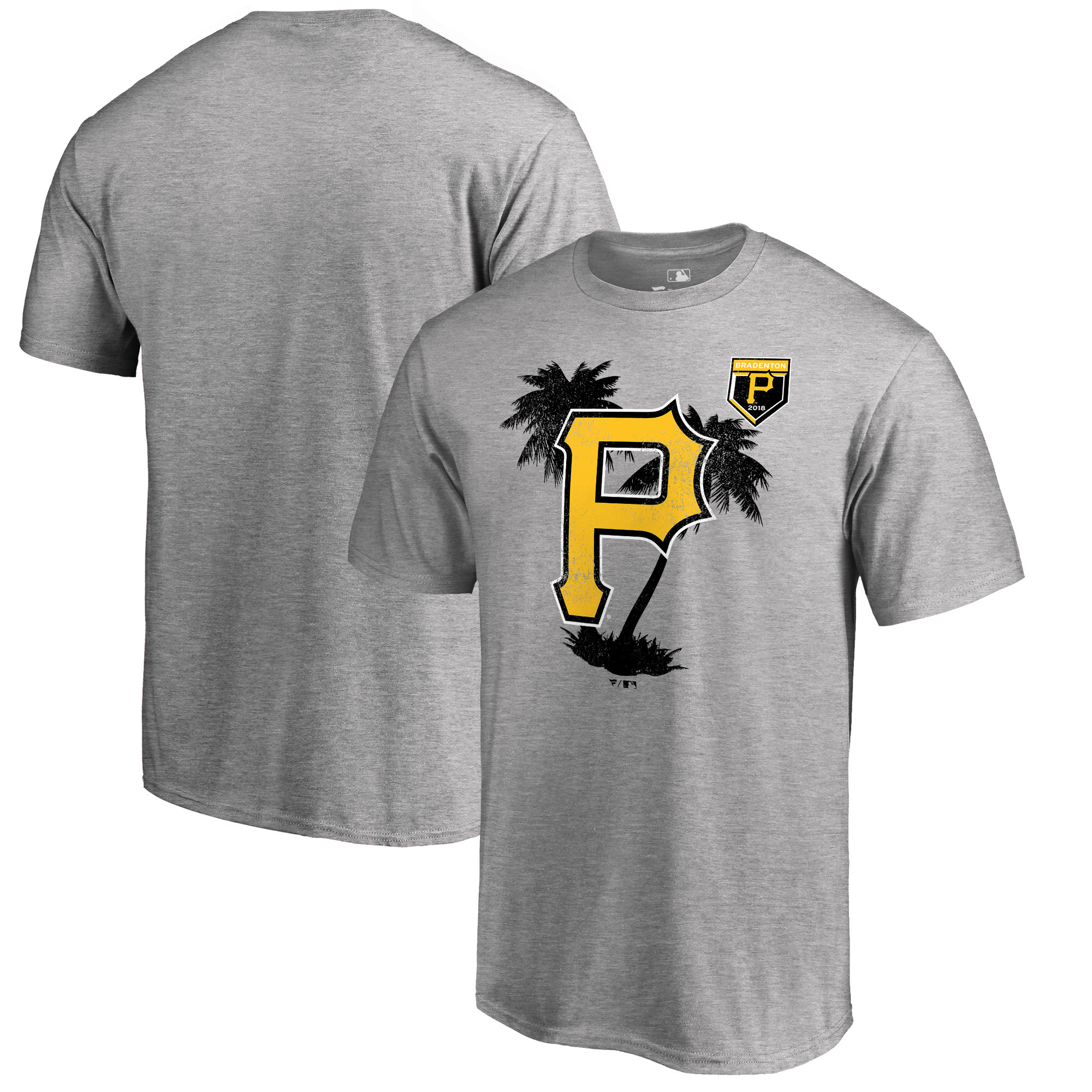 Men's Pittsburgh Pirates Fanatics Branded 2018 MLB Spring Training Vintage T-Shirt – Heather Gray